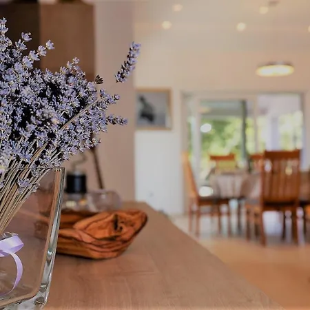 Holiday home Mit Privatpool Fuer 6 Personen Ca 160 Qm In Pula, Istrien Istrische Riviera Pula